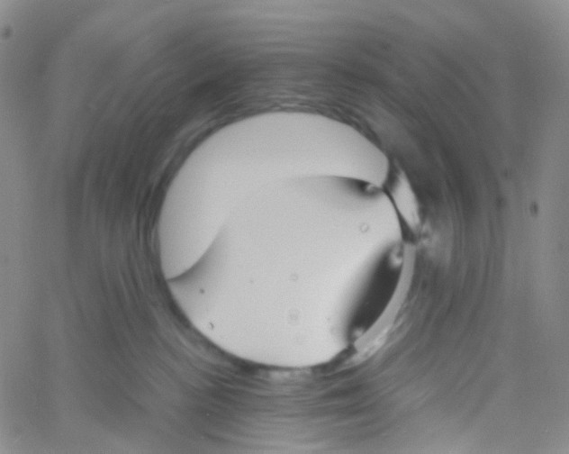 X0000060770188200512082043