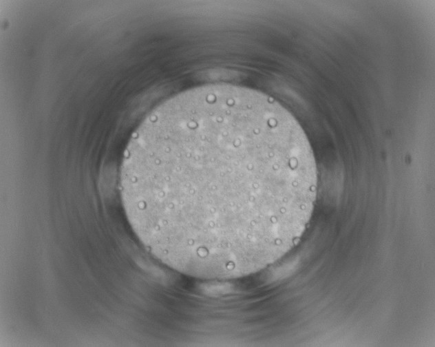 X0000060770189200512082043