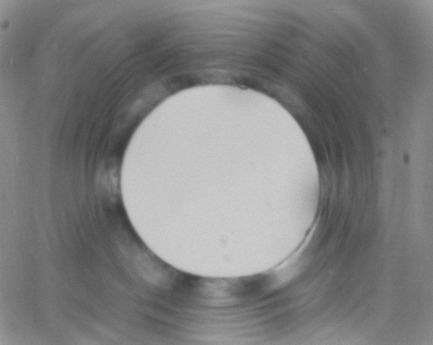 X0000060770190200512082043