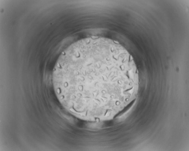 X0000060770191200512082043