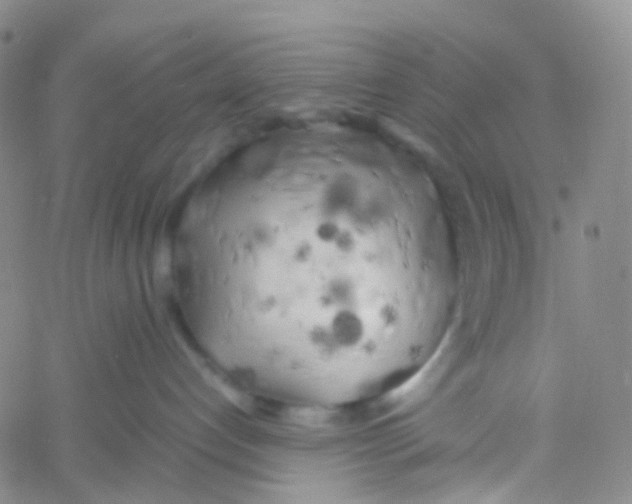 X0000060770192200512082043