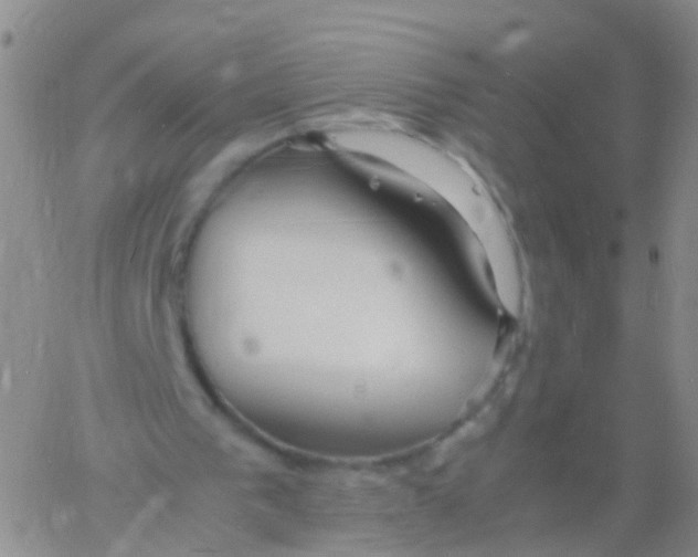 X0000060770193200512082042