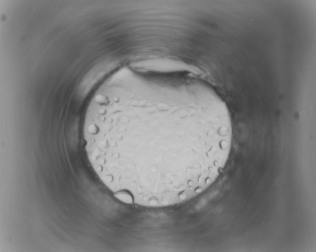 X0000060770194200512082042