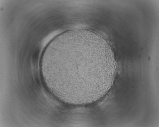 X0000060770196200512082042