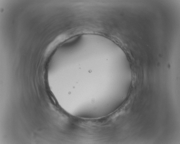 X0000060770197200512082042