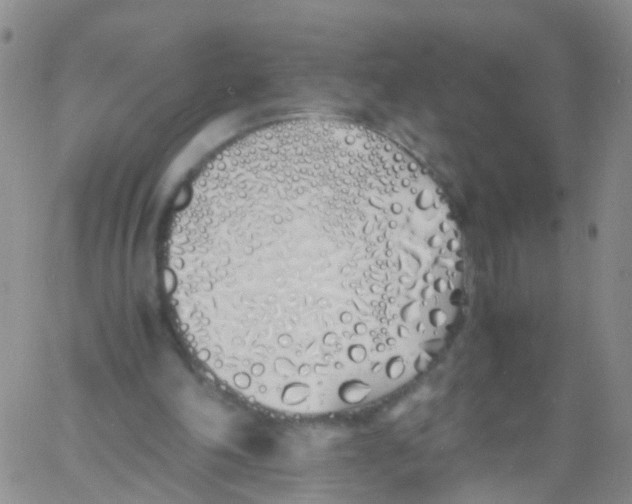 X0000060770198200512082042