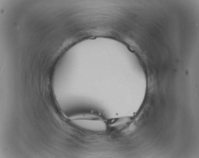 X0000060770201200512082042