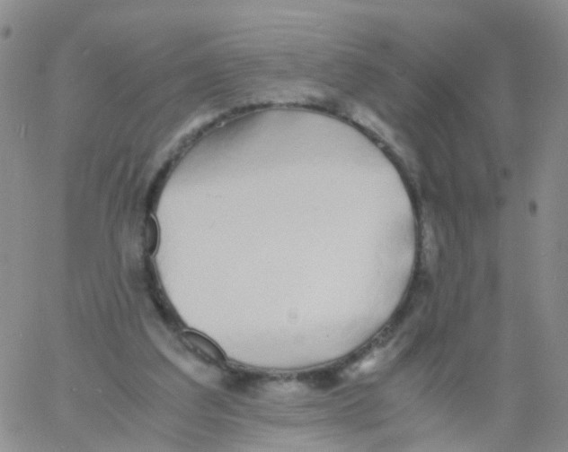 X0000060770203200512082042