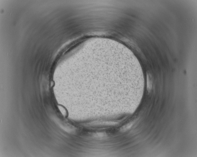 X0000060770204200512082042