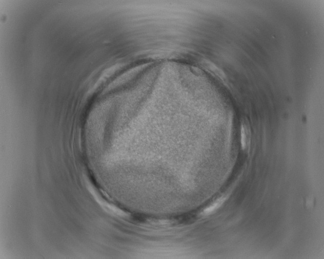 X0000060770205200512082042