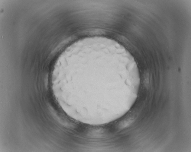 X0000060770206200512082042