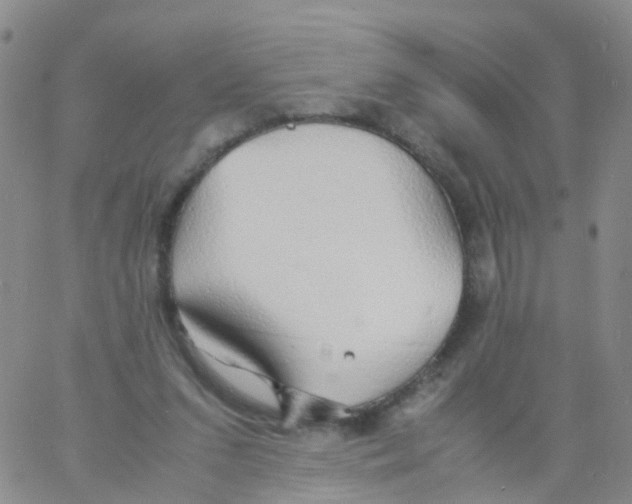 X0000060770207200512082042