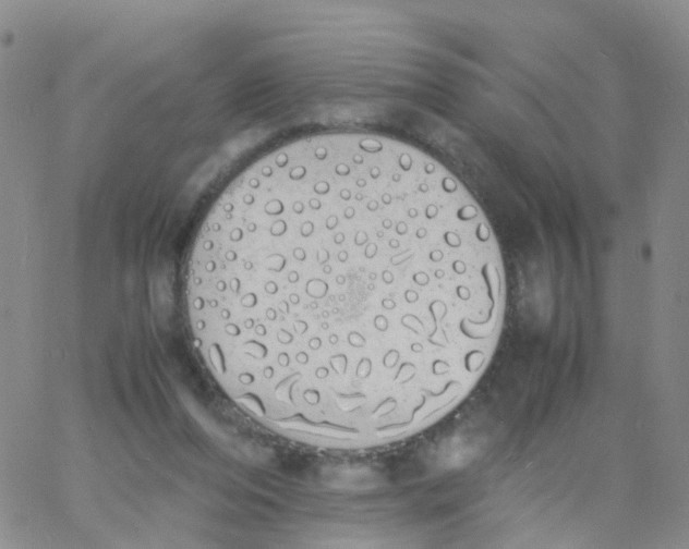 X0000060770208200512082042