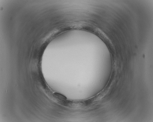 X0000060770209200512082042