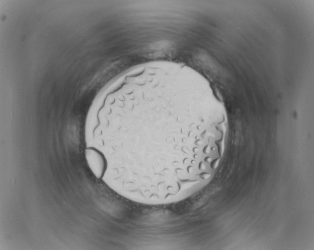 X0000060770210200512082042