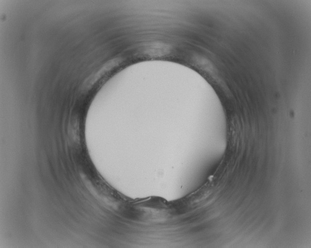 X0000060770212200512082042