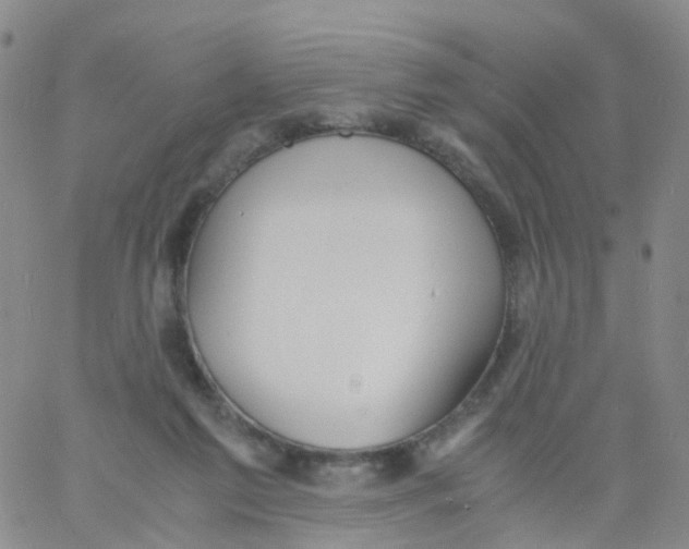 X0000060770213200512082042