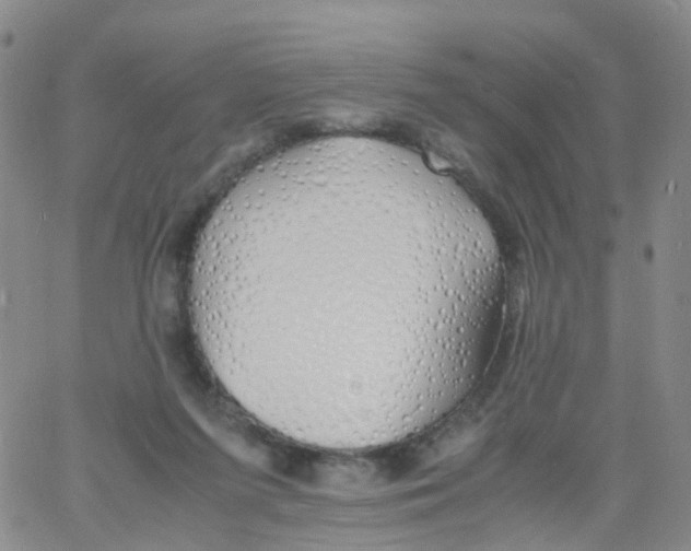 X0000060770215200512082042