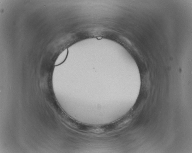 X0000060770217200512082042