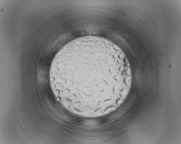 X0000060770218200512082042