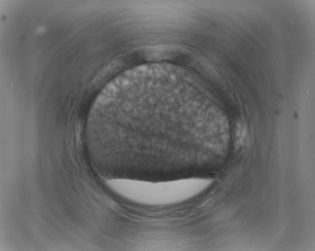 X0000060770219200512082042