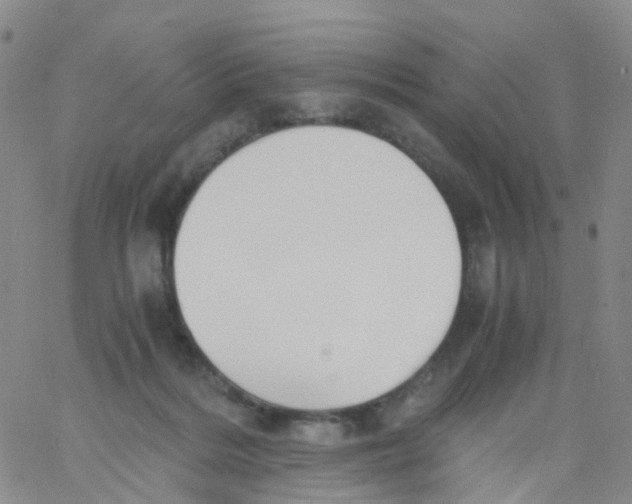 X0000060770220200512082042