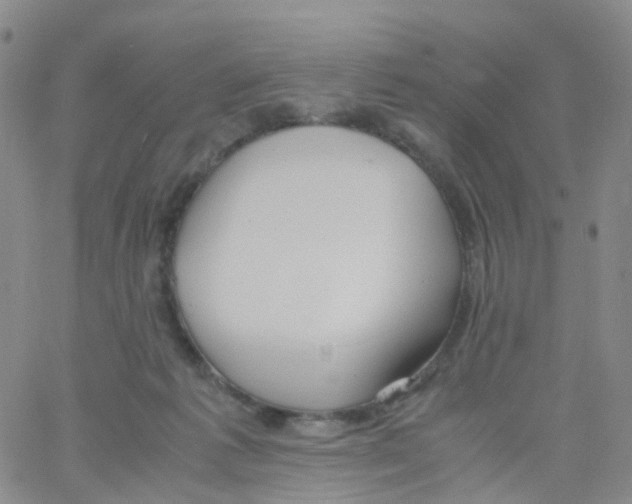 X0000060770221200512082042