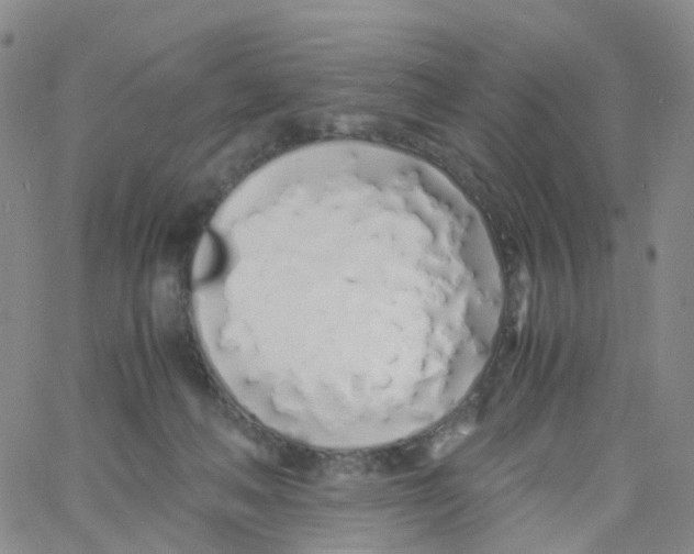 X0000060770222200512082042