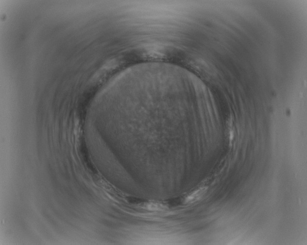 X0000060770223200512082042