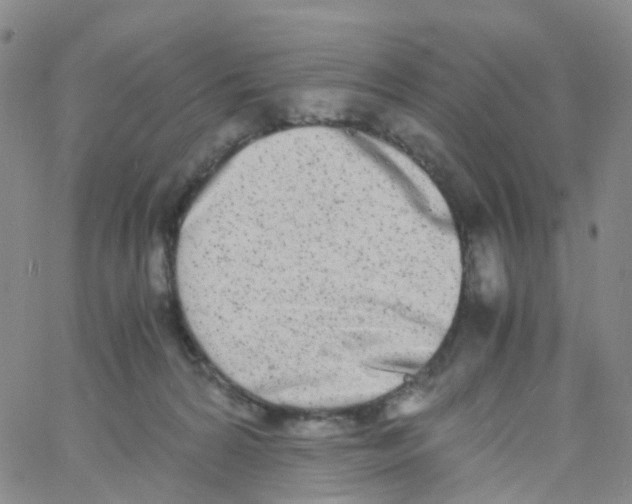 X0000060770224200512082042