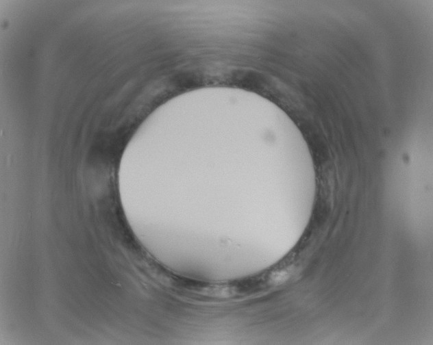 X0000060770225200512082041