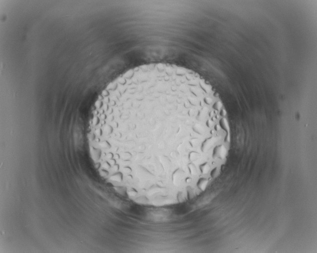 X0000060770226200512082041