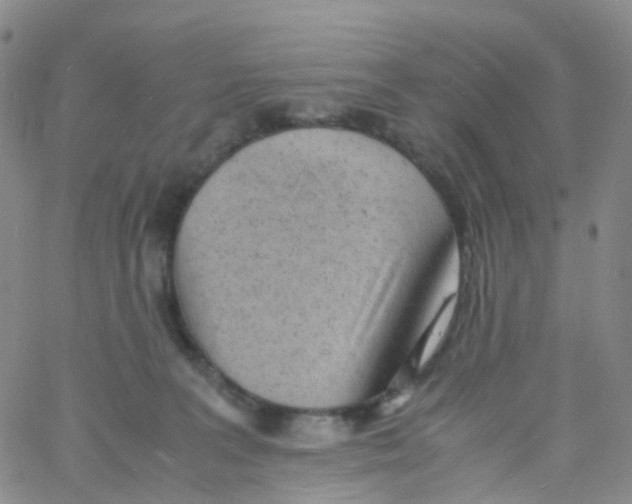 X0000060770227200512082041