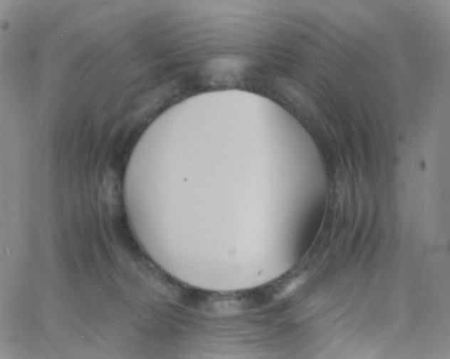 X0000060770228200512082041