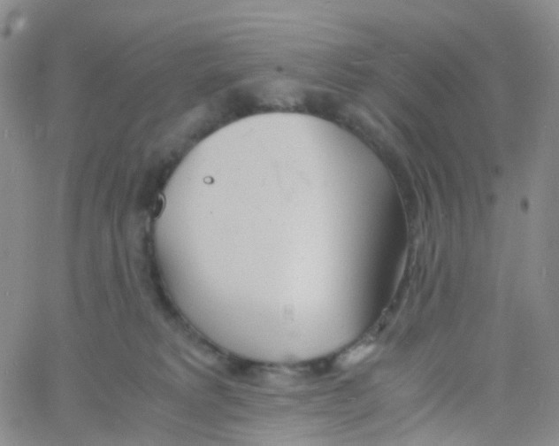 X0000060770229200512082041