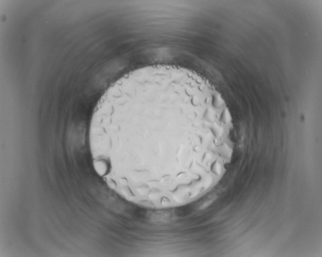 X0000060770230200512082041