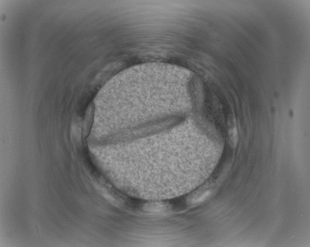 X0000060770231200512082041