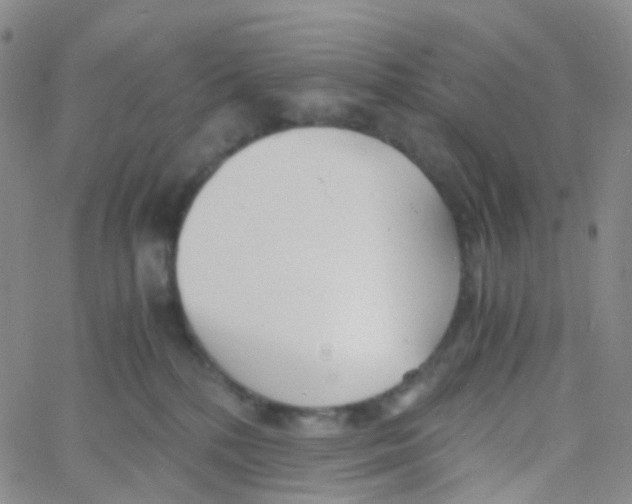 X0000060770232200512082041