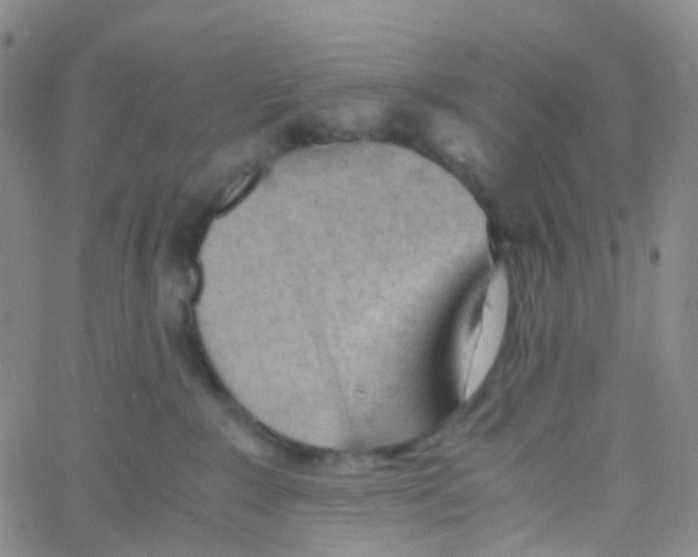 X0000060770235200512082041