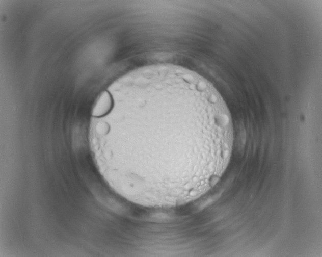 X0000060770236200512082041