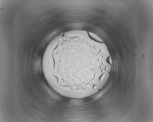 X0000060770238200512082041