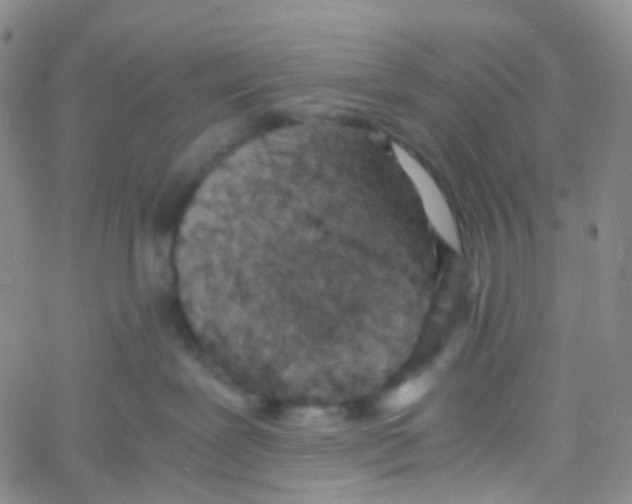 X0000060770239200512082041