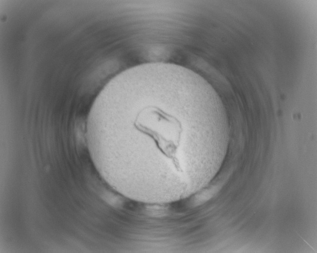 X0000060770240200512082041