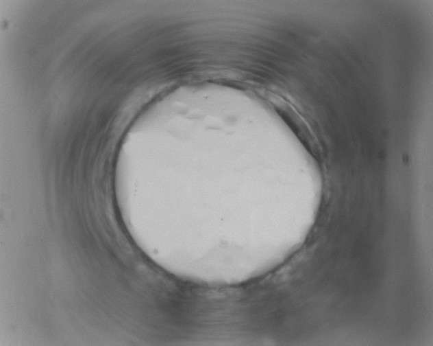 X0000060770241200512082040