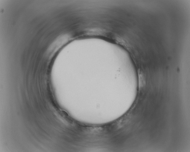 X0000060770243200512082040