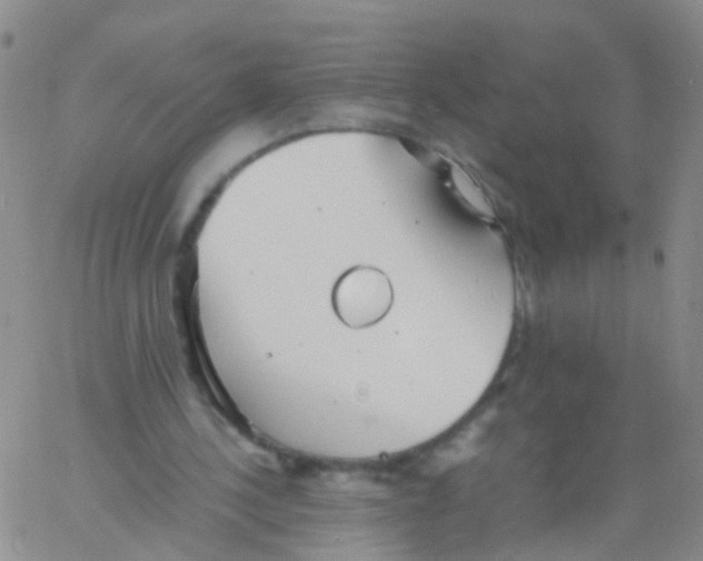 X0000060770244200512082040