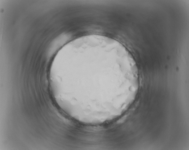 X0000060770245200512082040