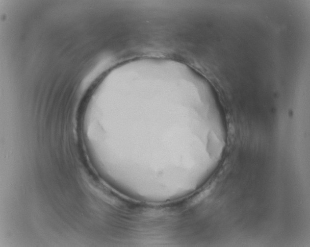 X0000060770246200512082040