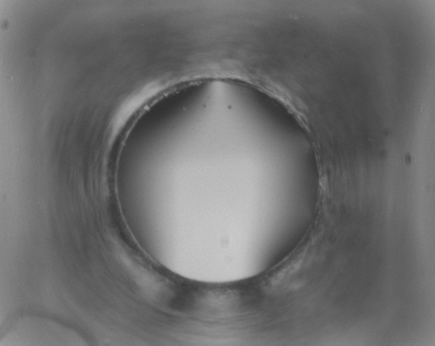 X0000060770248200512082040