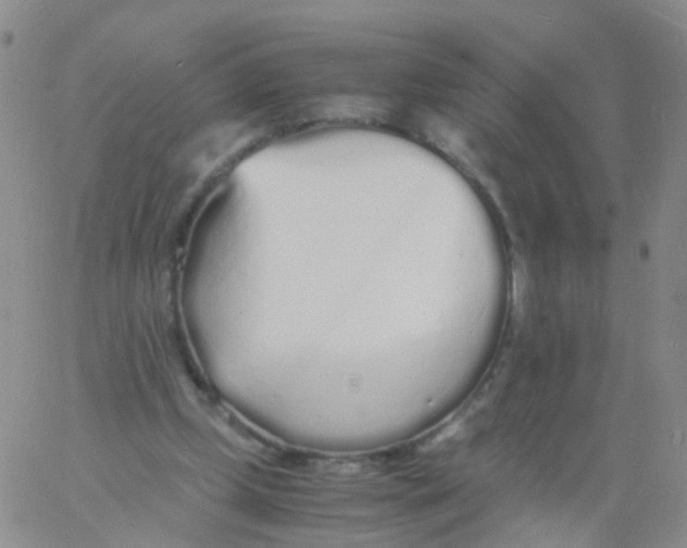 X0000060770249200512082040